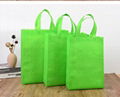 Eco-Friendly Customized Promotional Non Woven Laminated Non-Woven Tote Bag Non-W 3