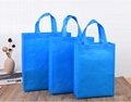 Shopping Bag Non Woven Bag Custom Carry Bag Reusable Tote Bag 3