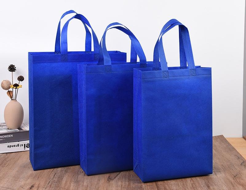 Shopping Bag Non Woven Bag Custom Carry Bag Reusable Tote Bag 4