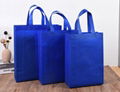 Shopping Bag Non Woven Bag Custom Carry Bag Reusable Tote Bag 4