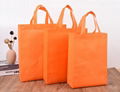 Shopping Bag Non Woven Bag Custom Carry Bag Reusable Tote Bag 6