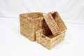 Hot Item Water Hyacinth Basket - SD7235A-3NA 