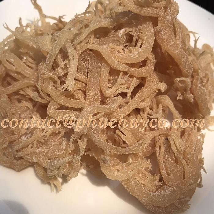 sun dry sea moss - natural  - non artificial- nutrition food 