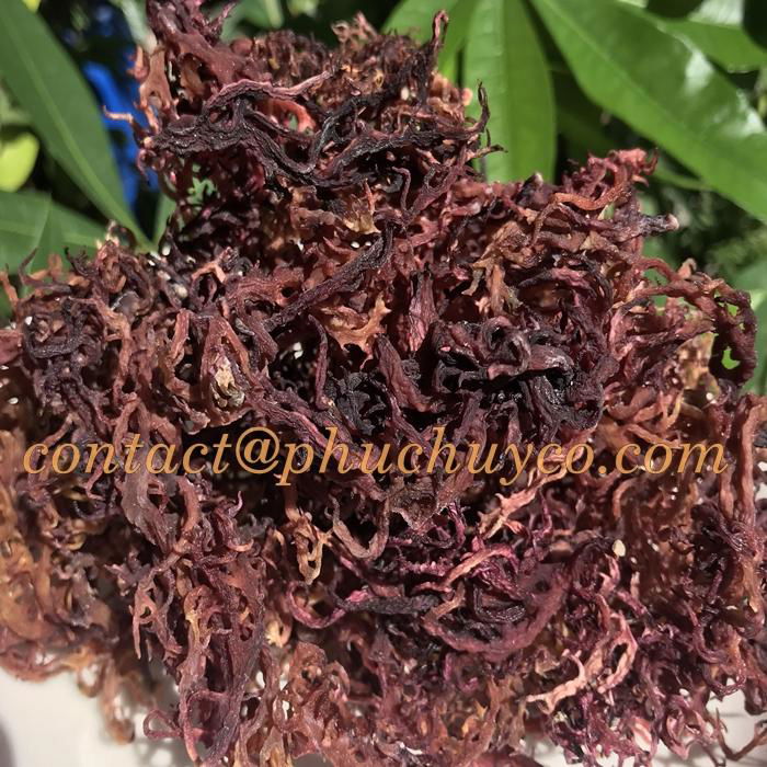 sun dry sea moss - natural  - non artificial- nutrition food  4