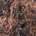 Raw argassum seaweed for seaweed fertilizer extraction