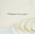 Wallpaper Base Paper     China Wallpaper Base Paper        4