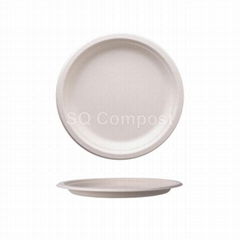 Round Bagasse Plates