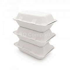 9×6in Biodegradable Clamshell 1-CP