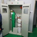 实验室气瓶柜防爆柜酸碱柜操作台边台气瓶储存柜