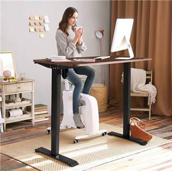 Dual Motor Standing Desk     Electric Standing Desk Dual Motor        