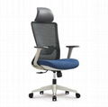 Office Ergonomic Chair H6258A     Custom Ergonomic Office Chair     