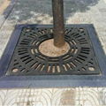 cast iron tree grates 2