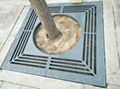 Ductile iron tree grates 2