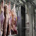 Cow Abattoir Machine Carcass Washing Machine For Cattle Slaughter Equipment 5