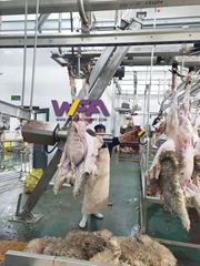 Sheep Slaughter Machine Dehiding Machine Of Meat Processing Line