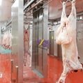 Goat Abattoir Carcass Washing Machine For Sheep Slaughtering Line 5