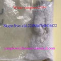  high quality  low price  hot sale SGT-151 2