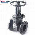 Gate Valves 1