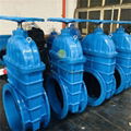 24 Inch DN600 Ductile iron BS DIN F4