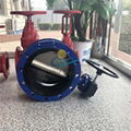 Ductile Iron Cast Iron Worm Gear Double