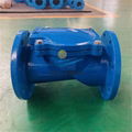 GGG50 Ductile Iron Rubber Flap Flange