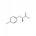 (R)-(+)-2-(4-HYDROXY PHENOXY)PROPIONIC