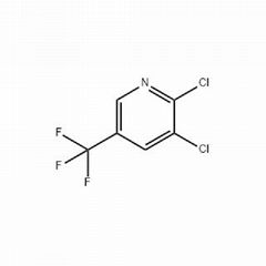 2-CHLORO-6-(TRICHLOROMETHYL)PYRIDI