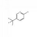 2-CHLORO-5-(TRIFLUOROMETHYL)PYRIDINE (CTF)