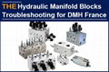 Hydraulic Manifold Blocks Troubleshooting for DMH France