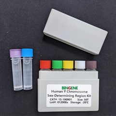 Sex-Determining Region on Y Chromosome Probe PCR Kit