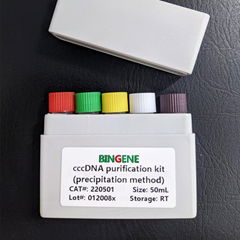 cccDNA purification kit (precipitation method)