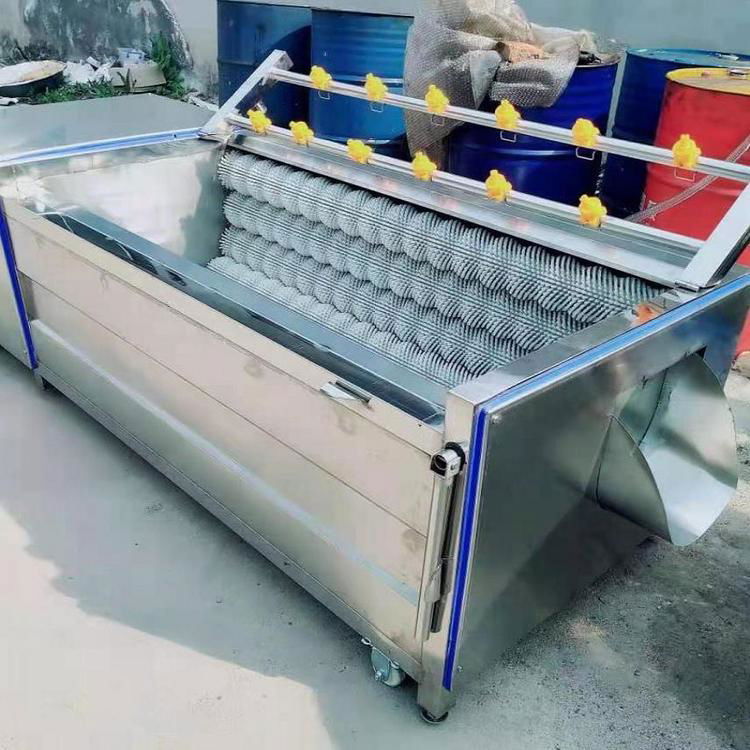 Multifunctional vegetable and fruit washing machine 3