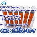 Safe Delivery CAS 28578-16-7 Pmk Ethyl Glycidate Oil, 28578-16-7 New Pmk Powder 