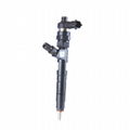 Common Rail Fuel Injector 