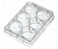 Cellpro Cell culture plates 