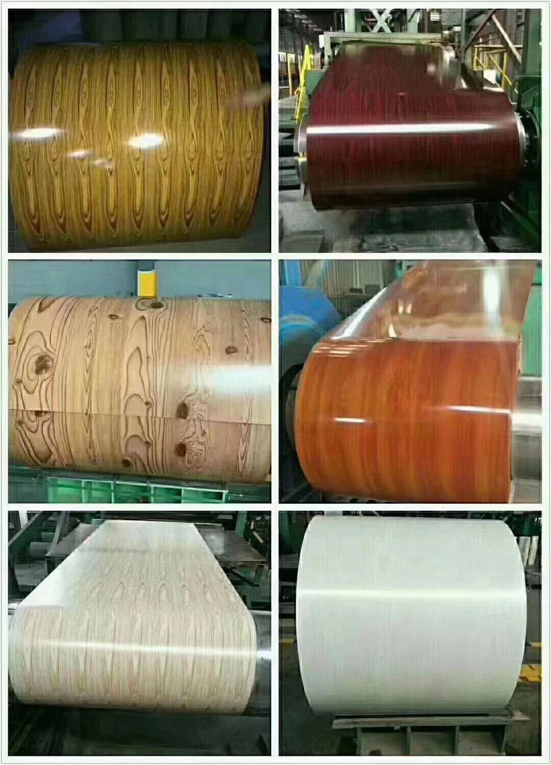 PPGI,GI,Prepainted steel coils