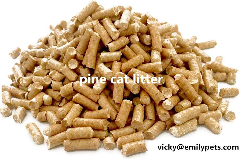 premium pine wood cat litter strong clumping flushble sand for cat 4