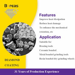 Ti-Coated Diamond Powder