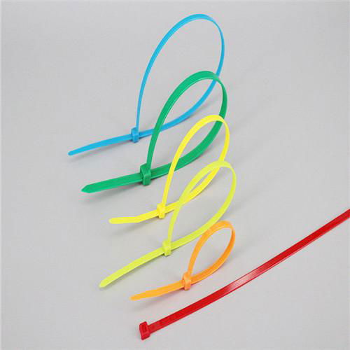 Self-Locking Nylon Cable Ties 2