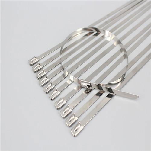 Stainless Steel Cable Ties