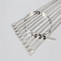 Stainless Steel Cable Ties 1