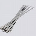 Stainless Steel Cable Ties 2