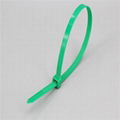 2.5x80 Nylon Cable Ties 1