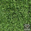 足球场草坪,仿真草坪,运动草坪地毯,东驰生产 3