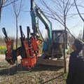 Tree digger  SX-80 4