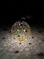 定制不锈钢镂空圆球雕塑户外水景发光花球字景观抽象摆件镜面 5