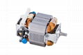 Ac universal electric blender motor