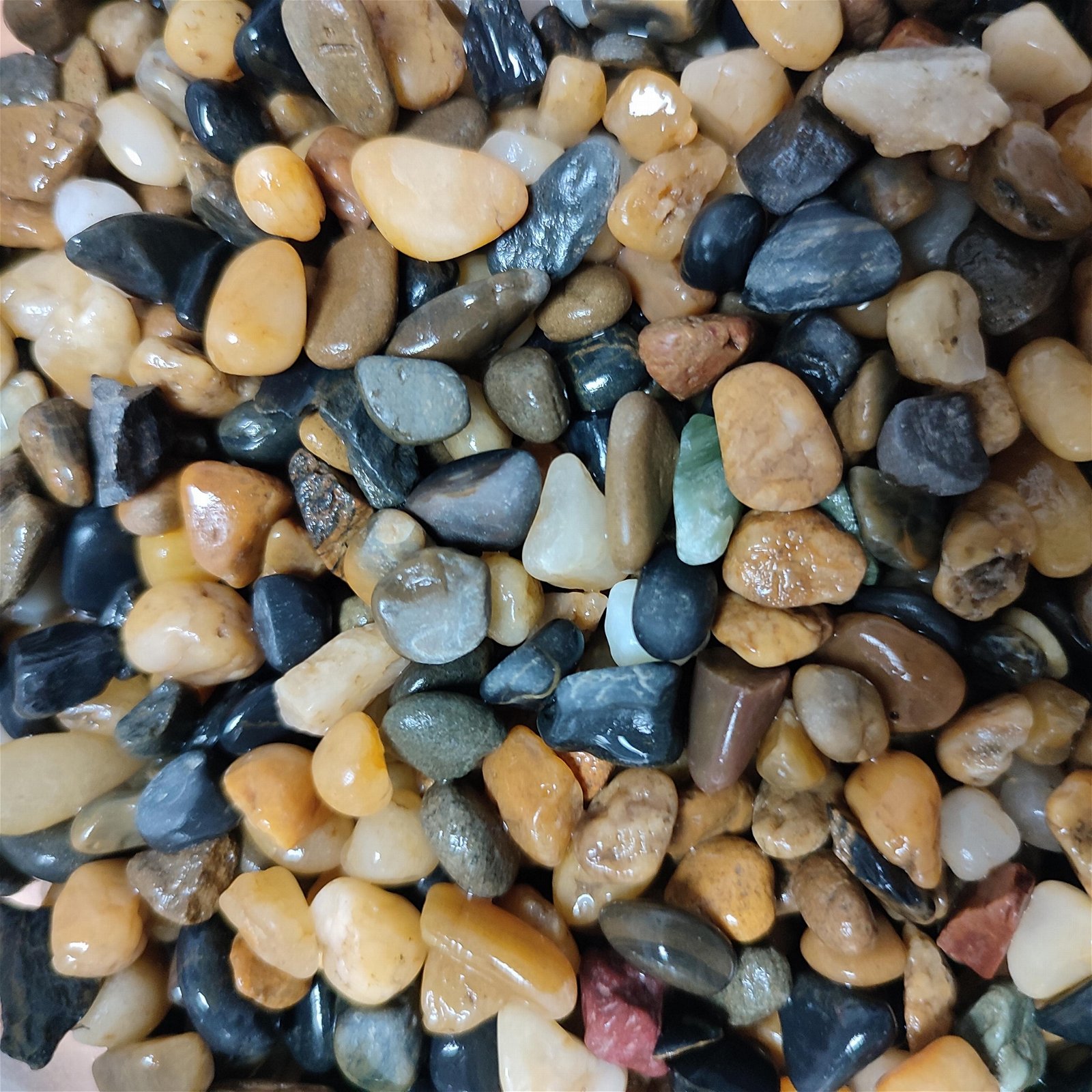 Rive bean pebbles and stone 3