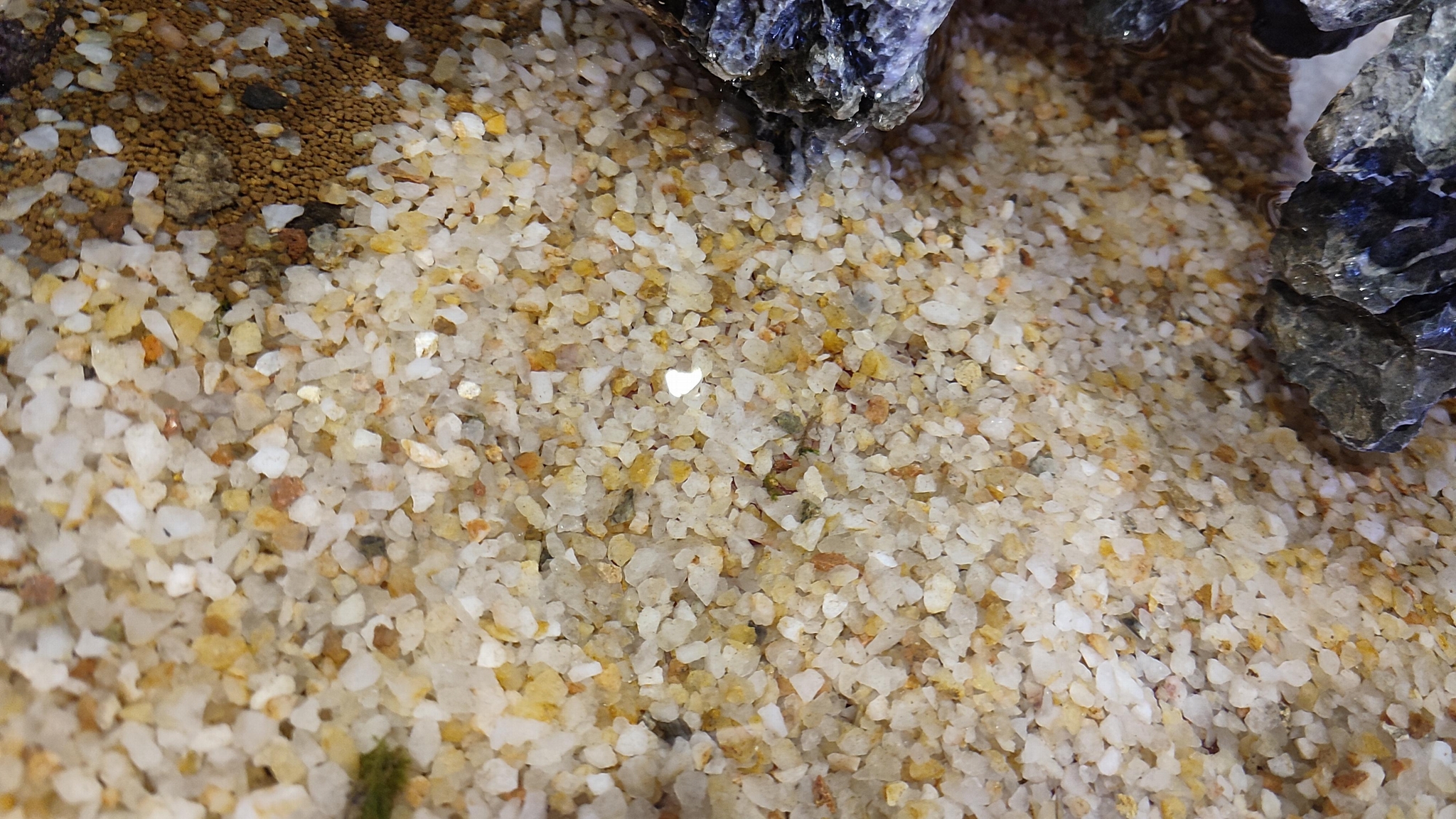 水族魚缸底砂 3