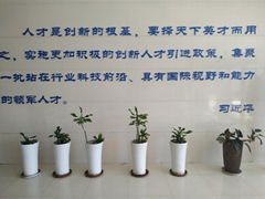 Qingdao Chuangneng New Energy Technology co.,ltd.